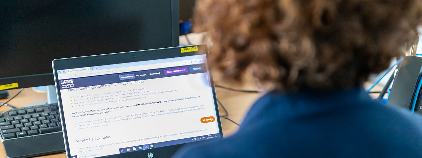 Banner pic of woman at computer screen