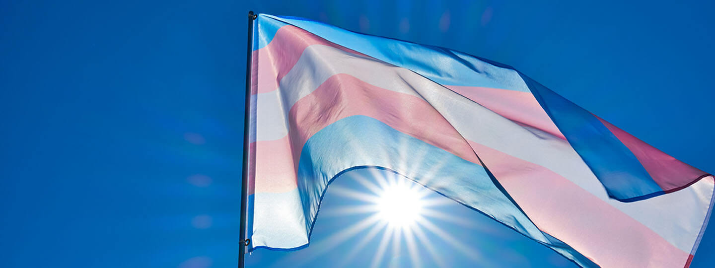 trans flag coloured penci;s