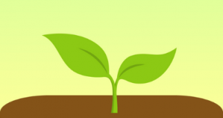 icon image forest app, mental health app