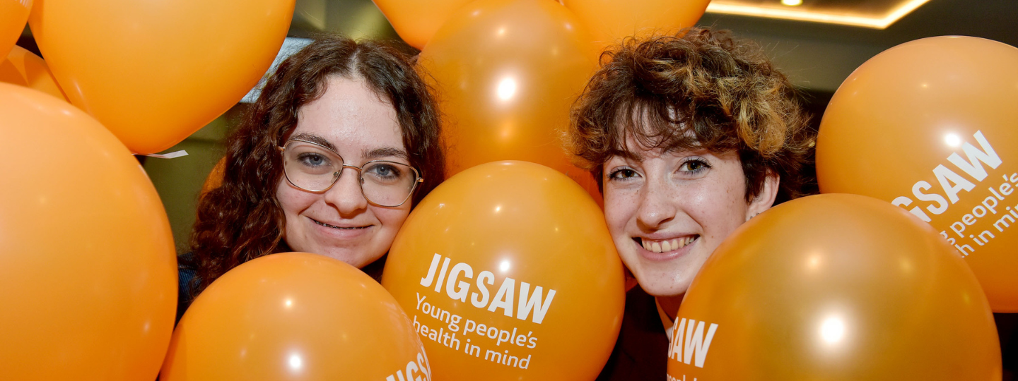 leinster rugby banner