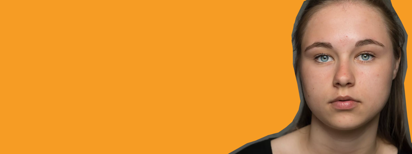 leinster rugby banner